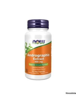 Now Andrographis Extract 400 mg 90 veg capsules